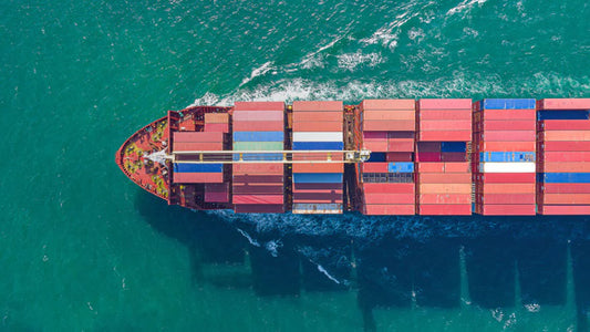 Shipping Macroalgae and Coral Across Canada: How We Keep Them Healthy