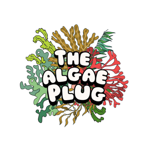 The Algae Plug
